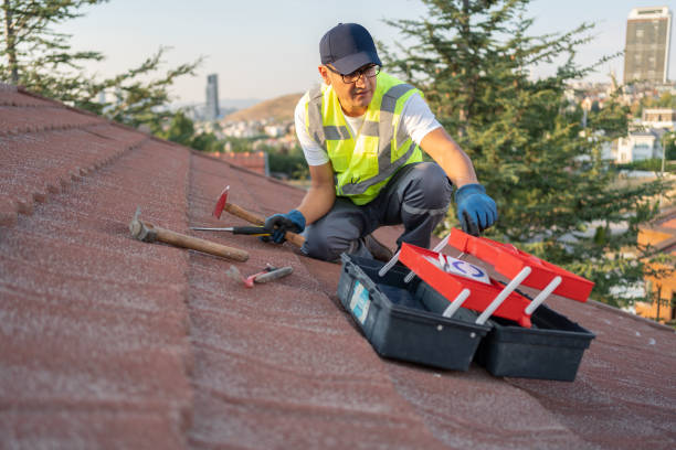 Affordable Siding Repair and Maintenance Services in Lake Elsinore, CA